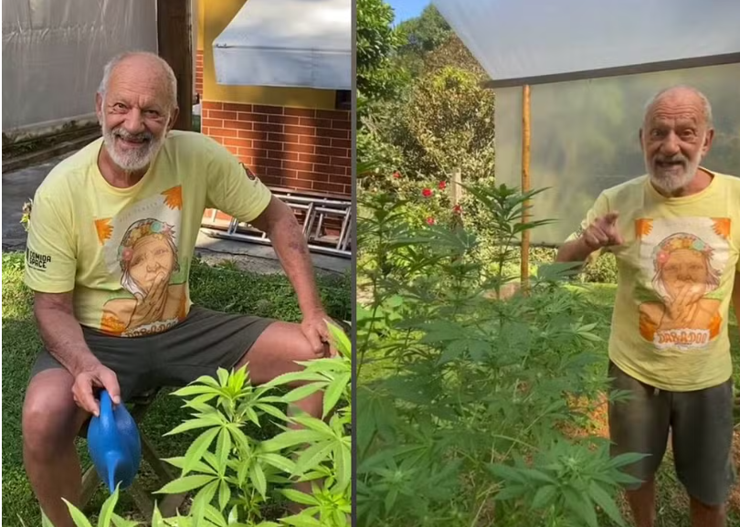 Ator mostra plantação enorme de cannabis em seu sítio para 'consumo próprio' — Foto: Instagram